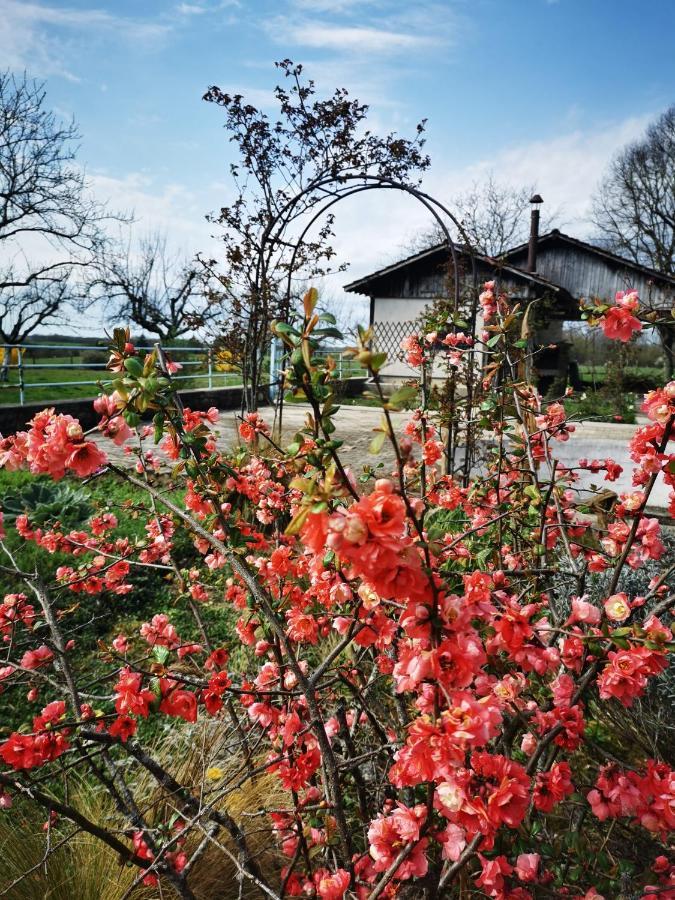 Domaine De L'Esperance, Chambre Rose Bed & Breakfast Bersaillin Eksteriør bilde